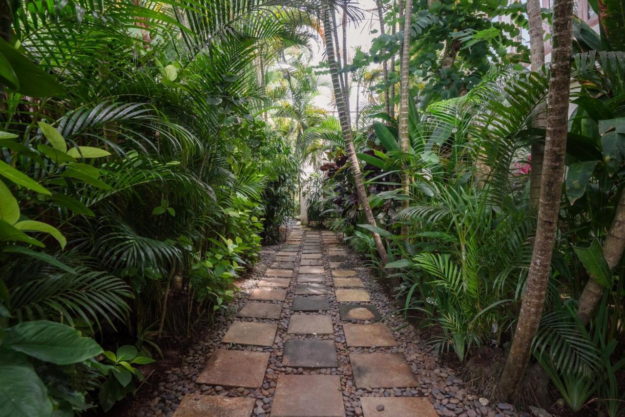 Dream View Villa ウルワツ エクステリア 写真